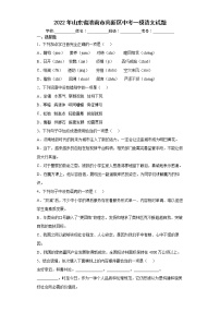2022年山东省济南市高新区中考一模语文试题(word版含答案)
