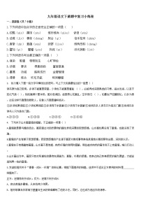 期中复习小练卷2021-2022学年部编版语文九年级下册(word版含答案)