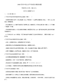 山东省泰安市泰山区2020年中考第二次模拟语文考试（解析版+原卷板）