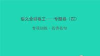 2022春七年级语文下册专题卷四名诗名句习题课件新人教版