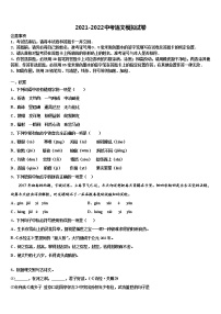 2022届广东省深圳市育才一中学初中考联考语文试题含解析