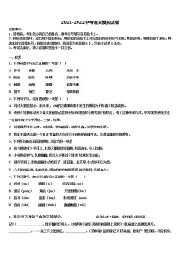 2022届福建省寿宁县市级名校中考语文模拟试题含解析