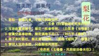 人教部编版七年级下册第四单元15 驿路梨花图片课件ppt