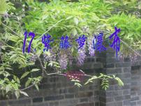 初中语文人教部编版七年级下册18 紫藤萝瀑布说课ppt课件