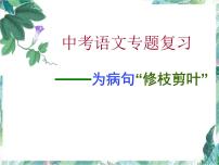 中考语文专题复习－病句专题复习课件PPT