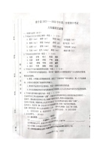 河南省洛宁县2021-2022学年八年级下学期期中考试语文试题(有答案)