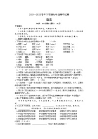 河南省洛阳市老城区2021-2022学年七年级下学期期中语文试题（含答案）