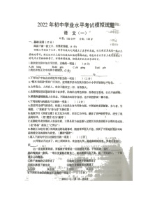 2022年湖南省岳阳市岳阳县初中学业水平考试模拟（一）语文试题