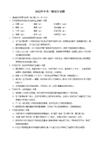 2022人教版中招语文模拟试题含答案  (3)