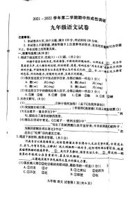 2021-2022学年河南省洛阳市洛龙区九年级下学期期中语文测试卷（无答案）