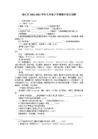 上海市徐汇区2021-2022学年九年级下学期期中语文试题（word版无答案）