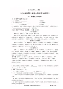 2022年上海市宝山区中考二模语文试题（含答案）