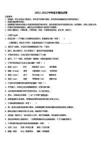 2021-2022学年新疆乌鲁木齐市高新区（新市区）中考冲刺卷语文试题含解析