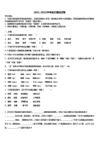 2022年北京朝阳人大附朝阳分校中考语文仿真试卷含解析