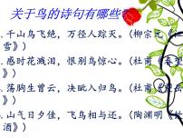人教部编版七年级上册18 鸟教课课件ppt