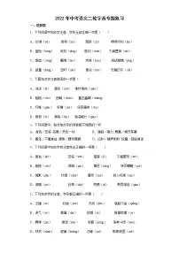 2022年中考语文二轮字音专题复习(含答案)