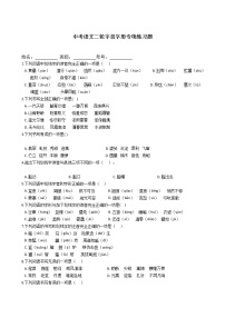 中考语文二轮专题字音字形专项练习题（含答案）