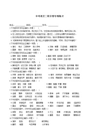 中考语文二轮专题字形专项练习（含答案解析）