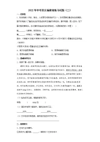 2022年中考语文福建省练习试题（二）