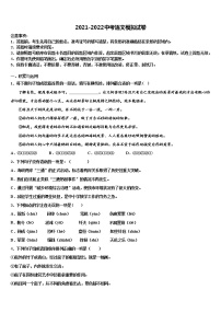 2022年四川省乐山市沙湾区重点名校中考考前最后一卷语文试卷含解析