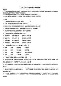 2022年重庆市宜宾市中学中考语文五模试卷含解析