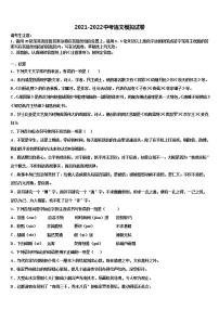 广东省中学山市杨仙逸中学2022年中考一模语文试题含解析