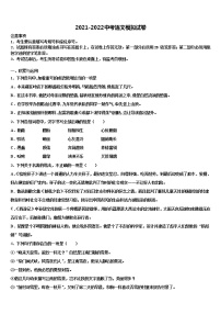 湖南省邵阳市2021-2022学年中考语文最后冲刺模拟试卷含解析