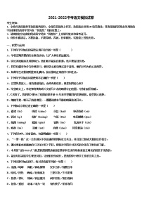 云南省施甸县2021-2022学年中考语文押题试卷含解析