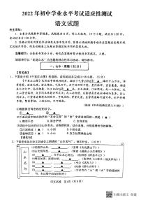 2022年浙江省宁波市余姚市初中学业水平考试适应性测试（一模）语文试题（有答案）