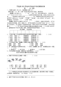 2022年湖南省永州市宁远县初中学业水平考试模拟（四）语文试题(word版含答案)