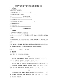 2022年上海市中考考前语文练习试题（六）