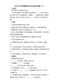 2022年广东省揭阳市中考语文练习试题（一）
