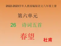 人教部编版八年级上册第六单元26 诗词五首春 望备课ppt课件