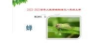 初中语文人教部编版八年级上册21* 蝉授课课件ppt