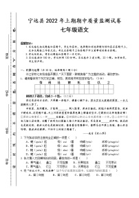 湖南省永州市宁远县2021-2022学年七年级下学期期中质量监测语文试题（含答案）