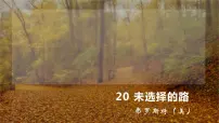 人教部编版七年级下册第五单元20* 外国诗二首未选择的路备课ppt课件