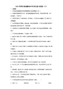 2022年四川省成都市中考语文练习试题（十）