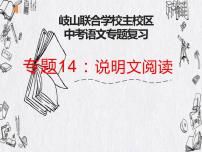 说明文阅读   课件  2022年中考语文二轮复习