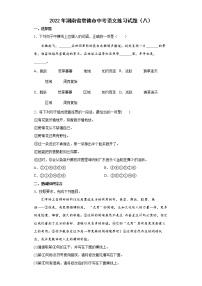 2022年湖南省常德市中考语文练习试题（八）