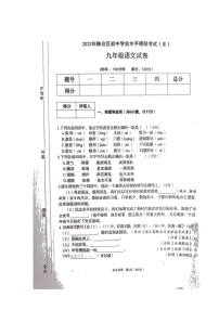 2022年陕西省宝鸡市陈仓区中考二模语文试题（含答案）