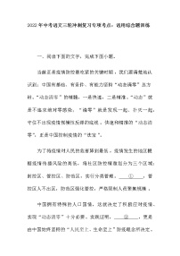 2022年中考语文三轮冲刺复习专项考点：语用综合题训练（含答案）