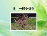 初中语文人教部编版七年级下册19* 一棵小桃树教课ppt课件