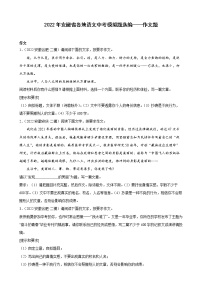 2022年安徽省各地语文中考模拟题汇编：作文题
