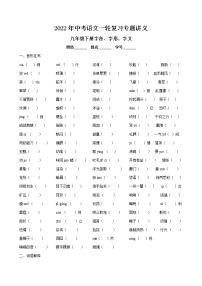 2022年中考语文一轮复习专题讲义-九年级下册字音、字形、字义