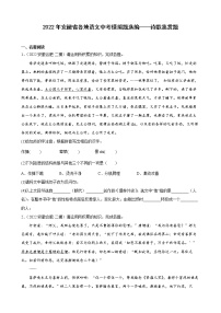 2022年安徽省各地语文中考模拟题分类汇编：诗歌鉴赏题