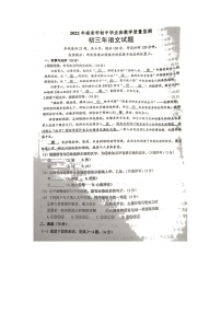 2022年福建省泉州市南安市初中毕业班教学质量监测语文试题（含答案）