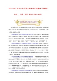 专题二 词语（成语）辨析及运用（难点）练习-2021-2022学年七年级语文上册期末考试划重点（部编版）