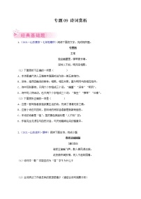 专题09： 诗词赏析-2021-2022学年七年级语文下学期期中考试好题汇编（部编版）