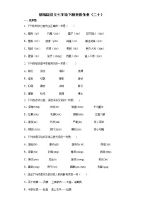 部编版语文七年级下册暑假作业（二十）
