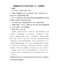部编版初中语文中考练习试题（九）（全国通用）